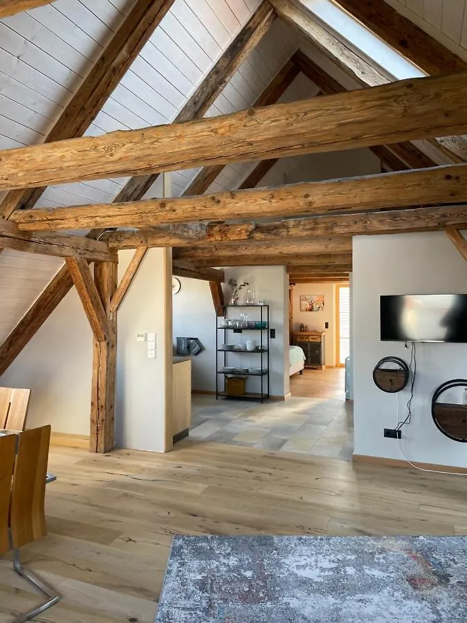 Apartment Ferienwohnung Ottobeuren